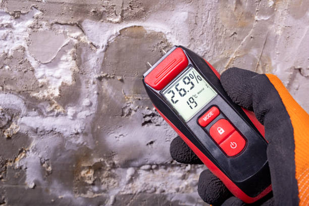 Best Fast Mold Removal  in Milford, PA