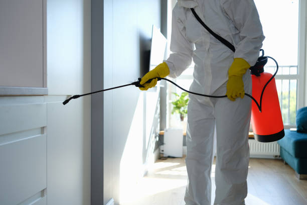 Best Crawl Space Mold Removal  in Milford, PA