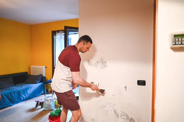 Best Mold Removal and Inspection  in Milford, PA